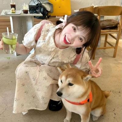 红粉侦探