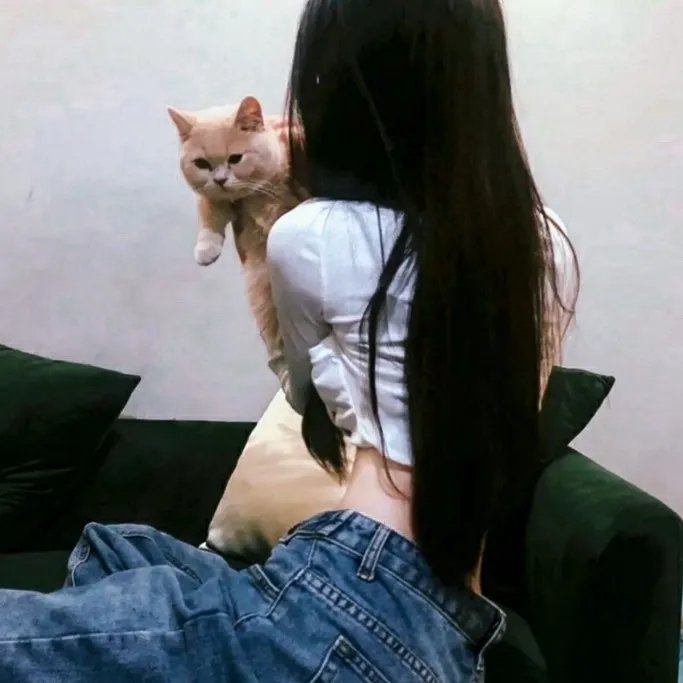 猛龙怪客4:镇压